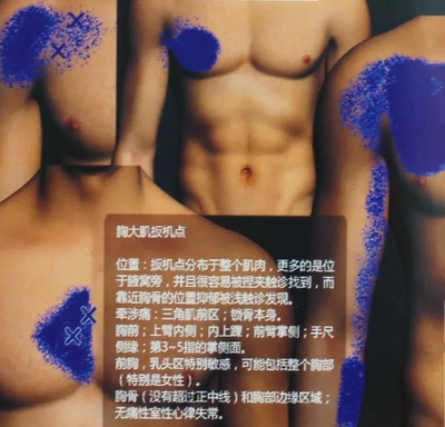 640.webp (5).jpg
