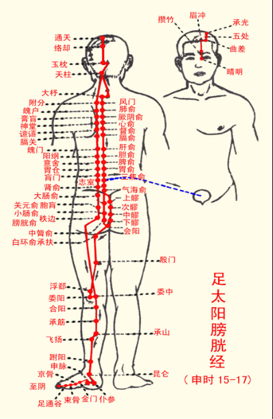 十二经络快速记忆的方法口诀 - 好医道